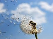 精品动图车牌10