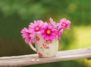 肤白貌美身材一绝极品中的极品